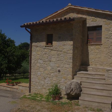 Villa Borgo Buciardella Baschi Exterior foto