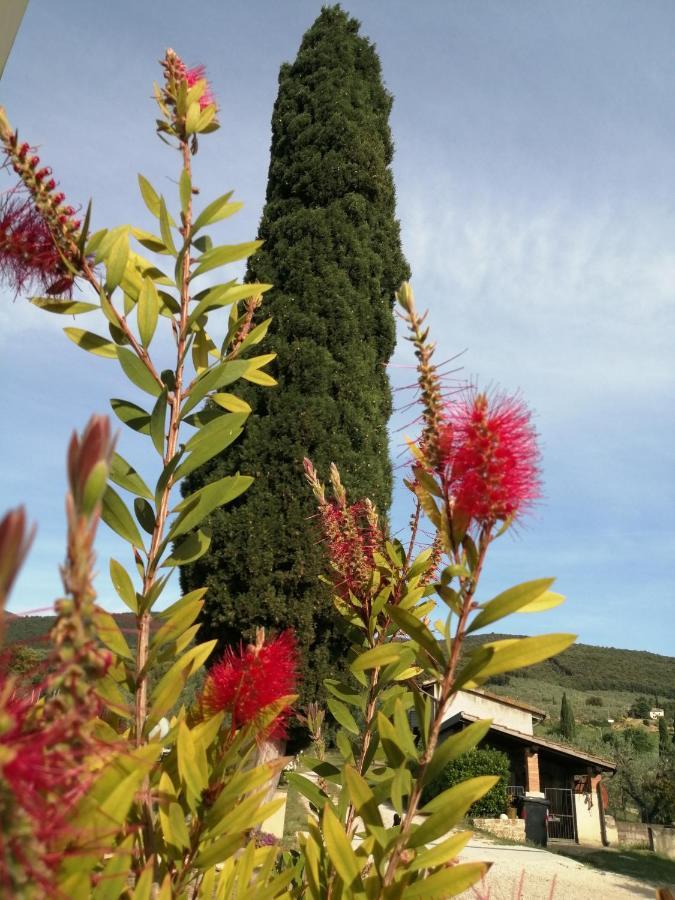 Villa Borgo Buciardella Baschi Exterior foto