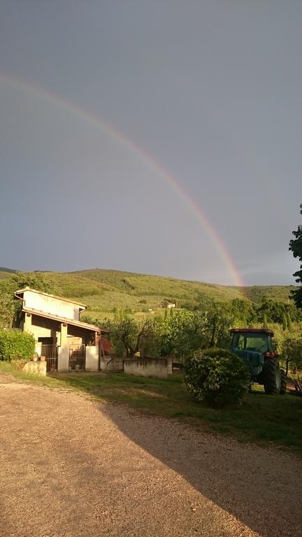 Villa Borgo Buciardella Baschi Exterior foto