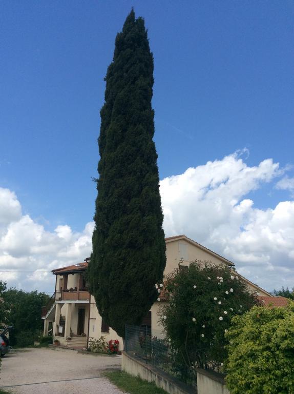 Villa Borgo Buciardella Baschi Exterior foto