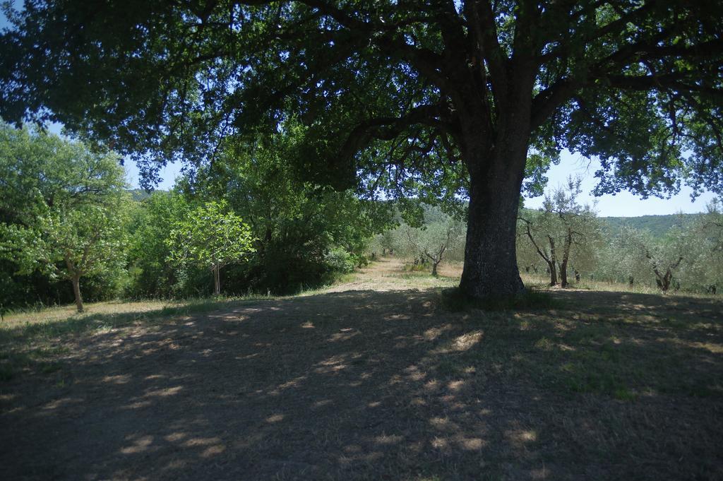 Villa Borgo Buciardella Baschi Exterior foto